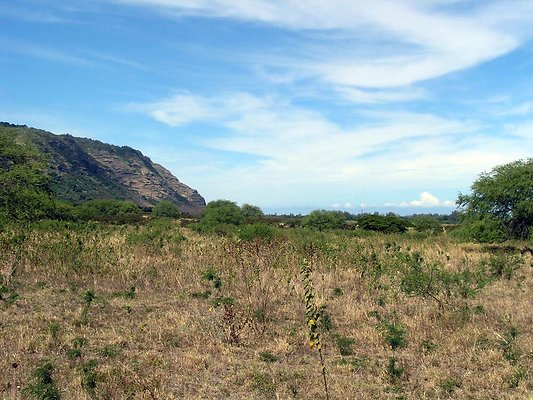 Dillingham124 - OLYMPUS DIGITAL CAMERA