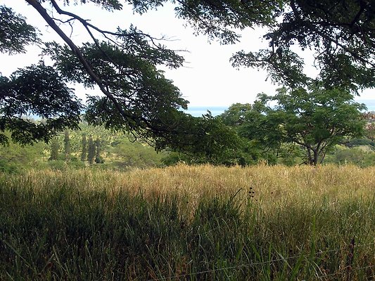 Dillingham129 - OLYMPUS DIGITAL CAMERA