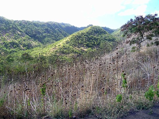 Dillingham050 - OLYMPUS DIGITAL CAMERA