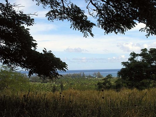 Dillingham127 - OLYMPUS DIGITAL CAMERA