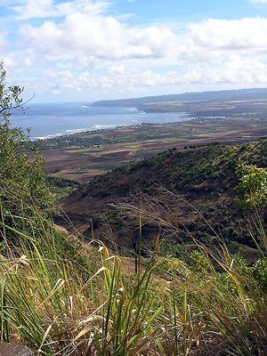 Dillingham069 - OLYMPUS DIGITAL CAMERA