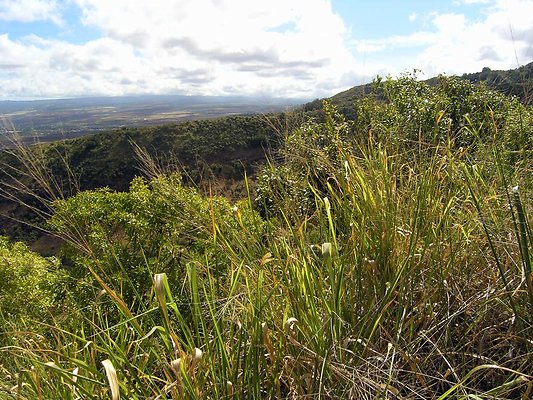 Dillingham065 - OLYMPUS DIGITAL CAMERA